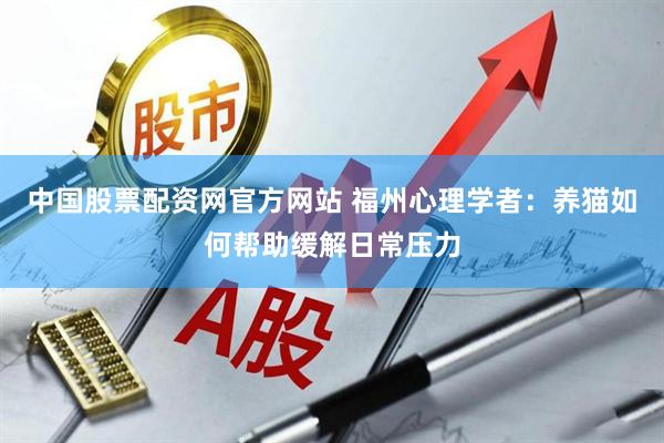 中国股票配资网官方网站 福州心理学者：养猫如何帮助缓解日常压力