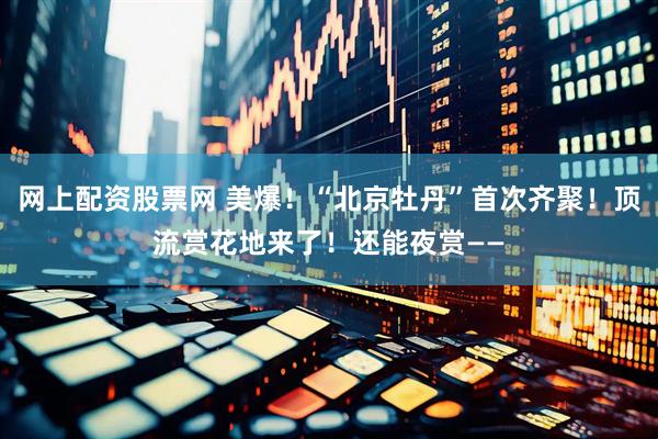 网上配资股票网 美爆！“北京牡丹”首次齐聚！顶流赏花地来了！还能夜赏——