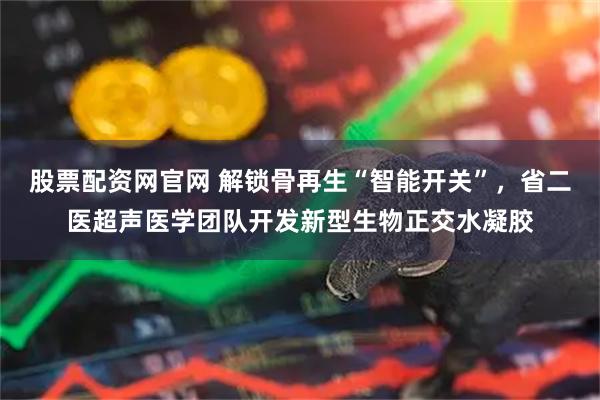 股票配资网官网 解锁骨再生“智能开关”，省二医超声医学团队开发新型生物正交水凝胶